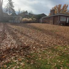 crisp-leaf-clean-up-in-Bethel-Park-Pa 3